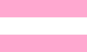 image description: a flag with three stripes. from top to bottom they are: pink, white, pink
