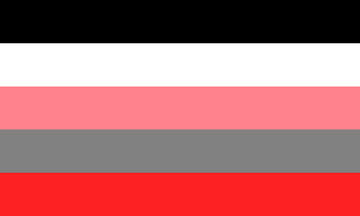 image description: a flag with five stripes. from top to bottom they are: black, white, pink, grey, red
